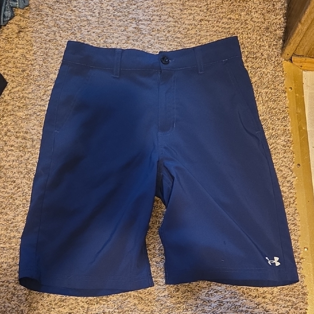 Under Armour Mens Blue Shorts